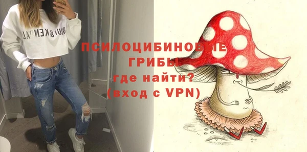 синтетический гашиш Богородск