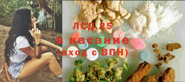 экстази Богданович