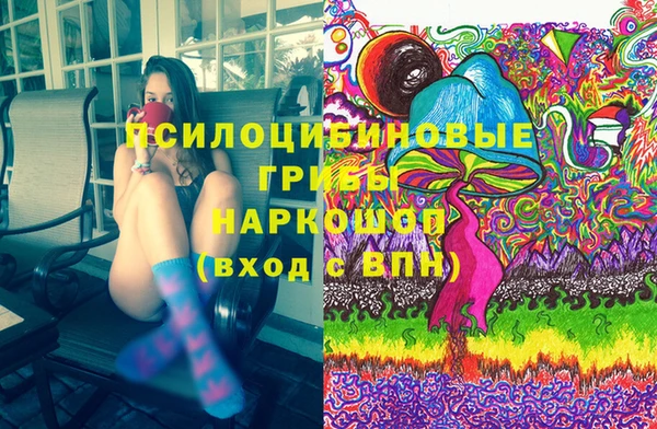 синтетический гашиш Богородск