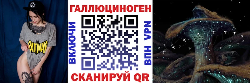 Галлюциногенные грибы Psilocybine cubensis  Бийск 